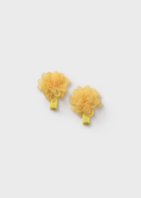 Baby set of 2 flower clips