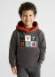 preview Sweatshirt with embroidery for a boy